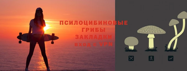 бошки Новодвинск