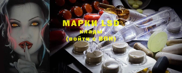 бошки Новодвинск