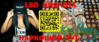 PSILOCYBIN Гатчина