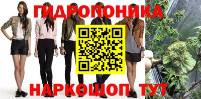 PSILOCYBIN Гатчина