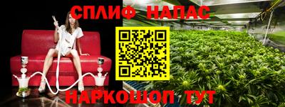 PSILOCYBIN Гатчина