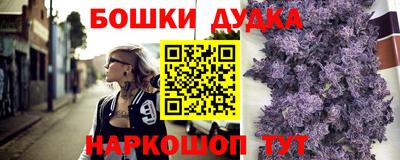 PSILOCYBIN Гатчина