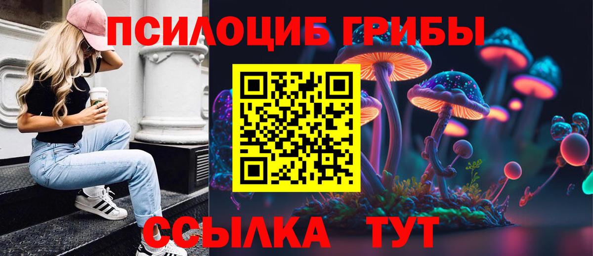 Галлюциногенные грибы Psilocybine cubensis  Вход с VPN  Зерноград 