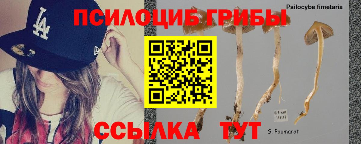 Псилоцибиновые грибы ЛСД Зерноград