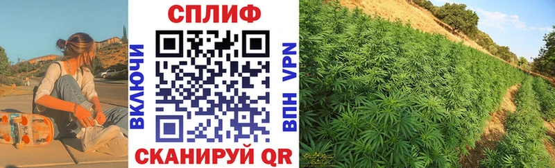 закладка  Зерноград  Бошки марихуана конопля 